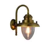Antique Brass Downlight Outdoor Wall Light