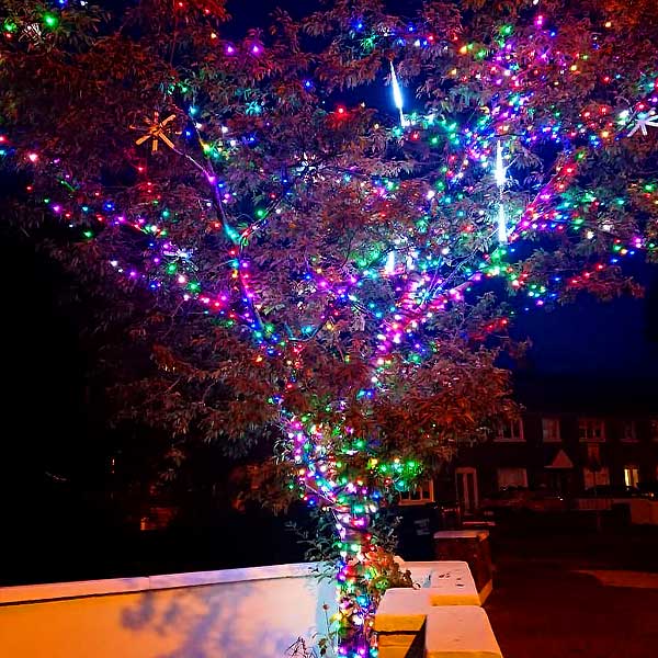 Multi color outdoor lights