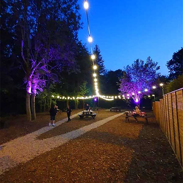 Festoon Lights 10 metres