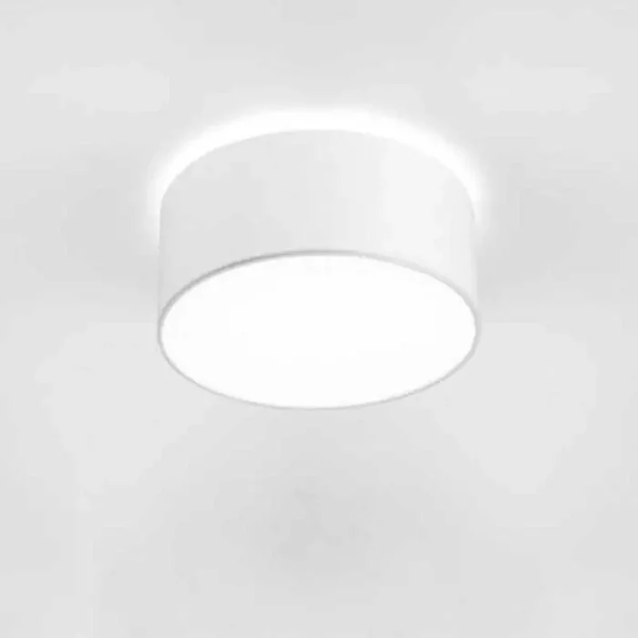 Flush Ceiling Light With White Shade