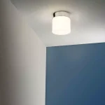 Polished Chrome Opal Bathroom Ceiling Light