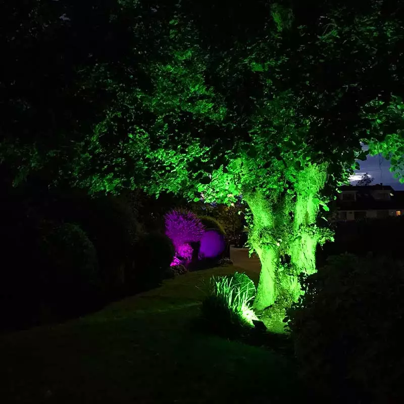Clonskeagh Garden Lighting Project Dublin