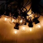 Festoon Lights With 20 Clear LED Bulbs
