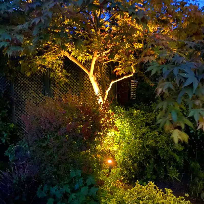 Knocklyon Garden Lighting Project Dublin