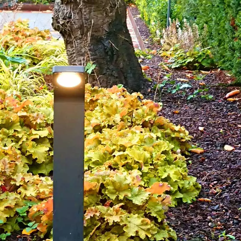 Rathgar Garden Lighting Project Dublin