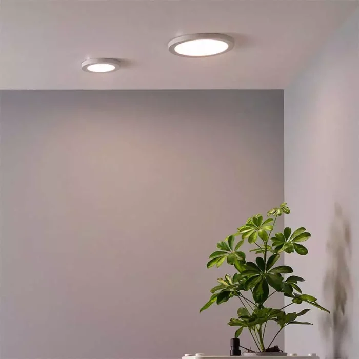 24W CCT LED Wall/Ceiling Light