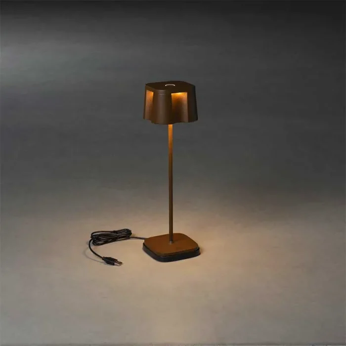 Decorative Rust LED Table Lamp