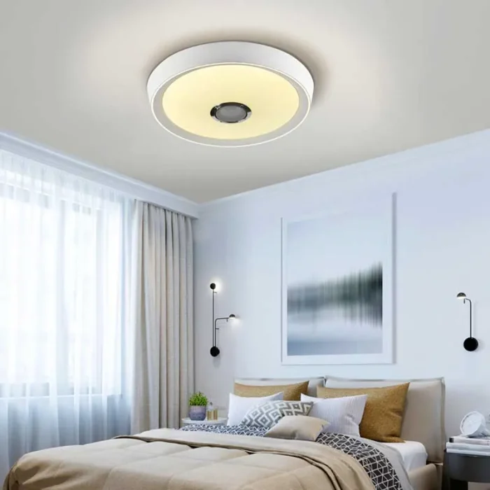 White Ceiling Light With Speaker