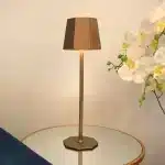 Brown touch control rechargeable table lamp for indoor and outdoor use